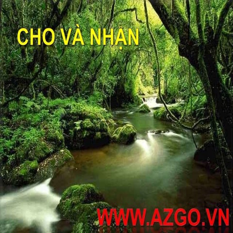 Cho và nhận