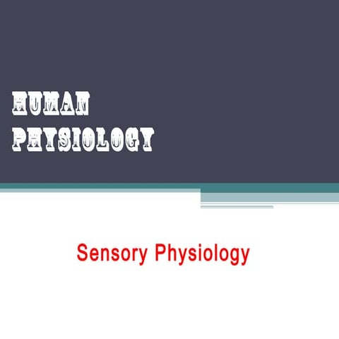Sensory physiology