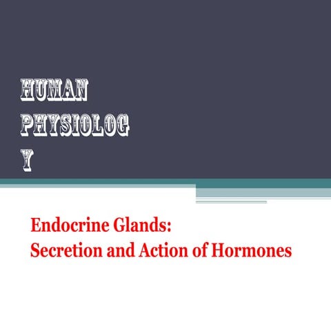 Endocrine glands