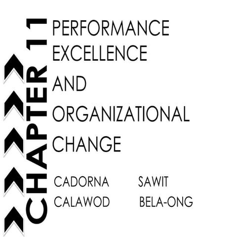 Chp11 performance excellence