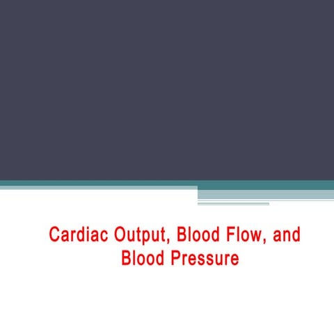 Cardiac output, blood flow, and blood pressure