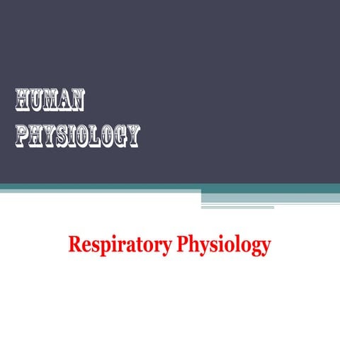 Respiratory physiology