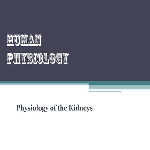Physiology of the kidneys
