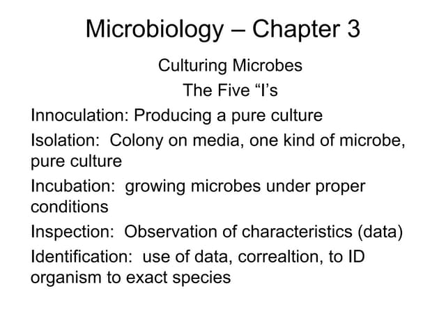 microbiology