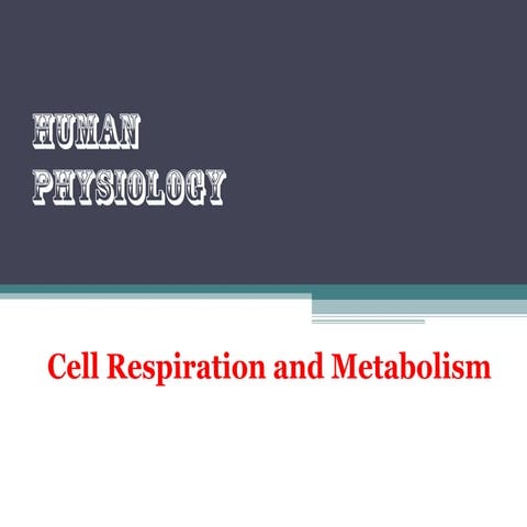 Cell respiration and metabolism