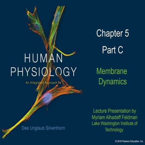 Membrane Transport - Human Physiology Chapter 5 | PPTX