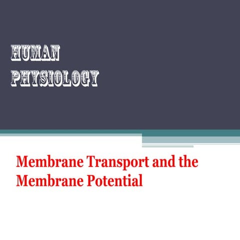 Membrane transport and the membrane potential