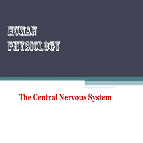 The central nervous system