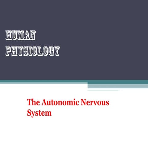 The autonomic nervous system