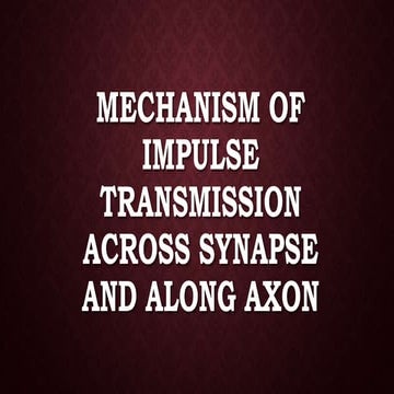 Mechanism of Impulse Transmission Across Synapse And Along Axon ...