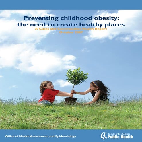 Preventing Childhood Obesity: The Need To Create Healthy Places