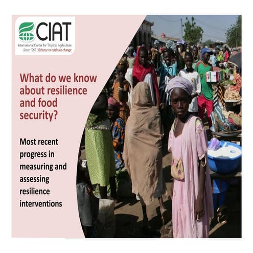 What do we know about resilience and food security? – Most recent progress in...