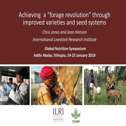 Achieving a “forage revolution” through improved varieties and seed systems