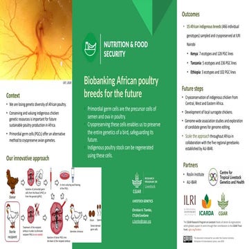 Biobanking African poultry breeds for the future