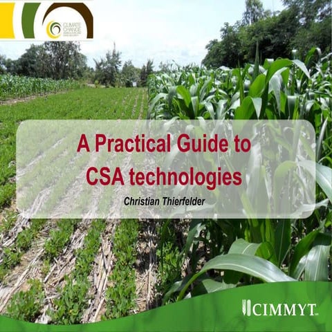 CIMMYT presentation on CSA