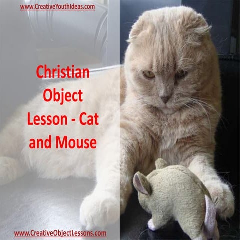Christian Object Lesson - Cat and Mouse