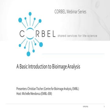 CORBEL Bioimage Analysis webinar slides | PPT