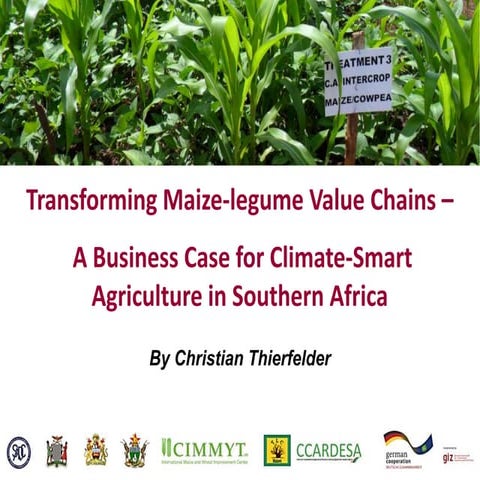 Transforming Maize-legume Value Chains –A Business Case for Climate-Smart Ag...