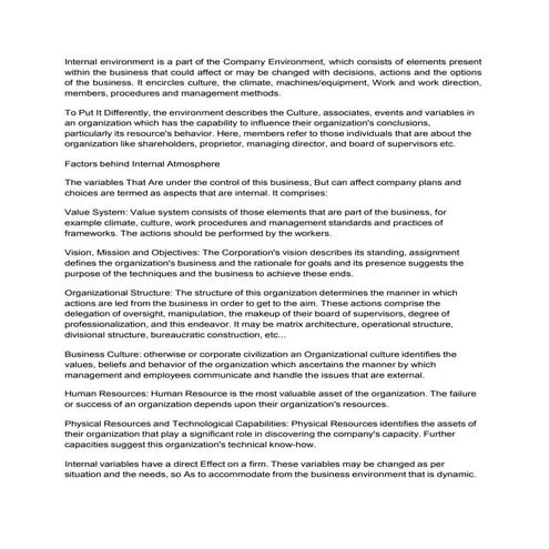 Christian walliker on internal environment