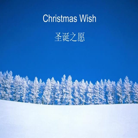 Christmas Wish (2009)