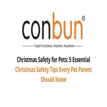 Christmas Safety for Pets: 5 Essential Christmas Safety Tips Every Pet ...