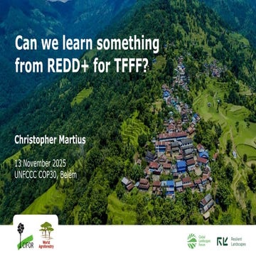 Can we learn something from REDD+ for TFFF?