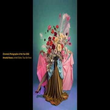 Chromatic Awards International Color Photography Contest:Winners