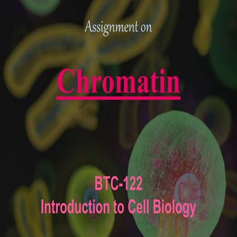 Chromatin