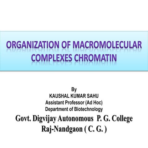 Chromatin, Organization macromolecule complex