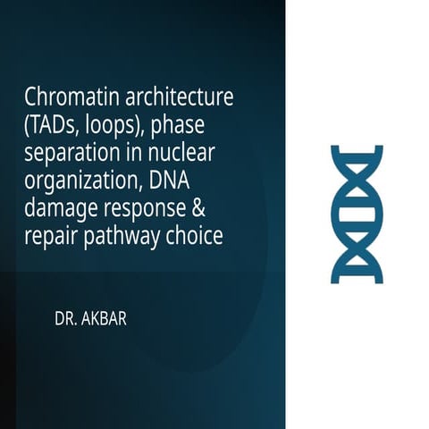 Chromatin architecture (TADs, loops), phase separation in nuclear ...