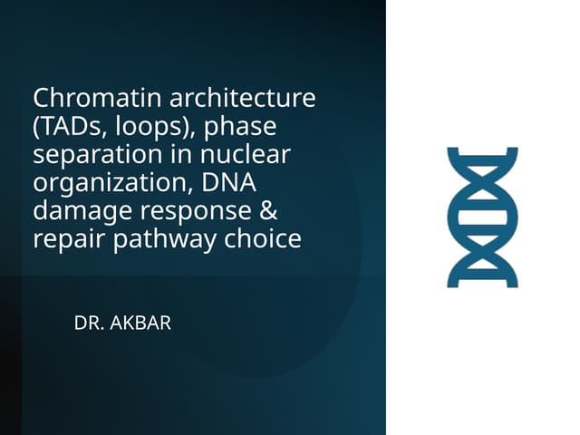Chromatin architecture (TADs, loops), phase separation in nuclear organizatio...