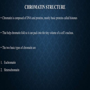 Chromatin structure
