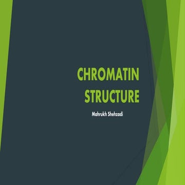 Chromatin structure