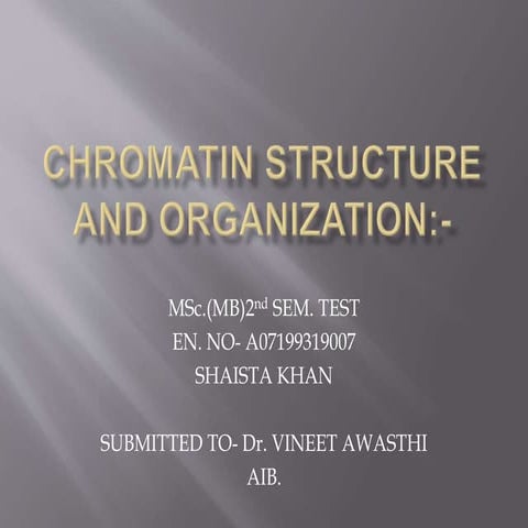 Chromatin structure and organization