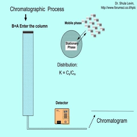 Chromatography Process