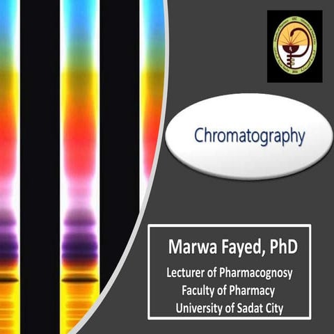 Chromatography 2020