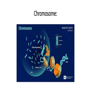 Chromosme, its structure and fuction.pptx