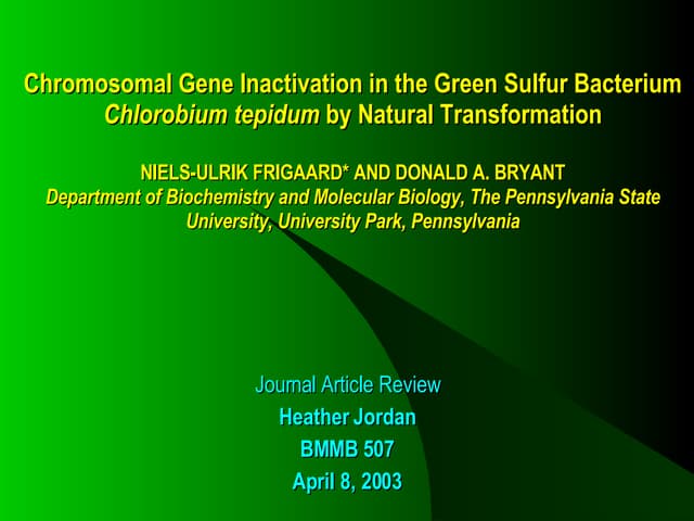 Chromosomal Gene Inactivation In The Green Sulfur Bacterium Chlorobium tepidu...