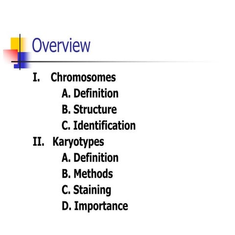chromosomal-karyotypes.pptx