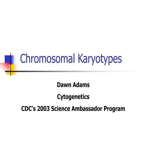 chromosomal-karyotypes.pptx