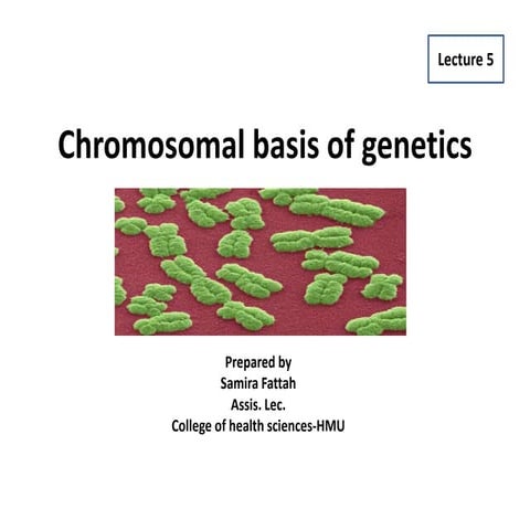 Chromosomal basis of genetics