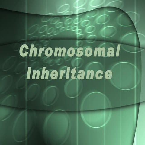 Chromosomal Inheritance