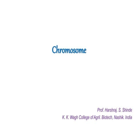 Chromosome