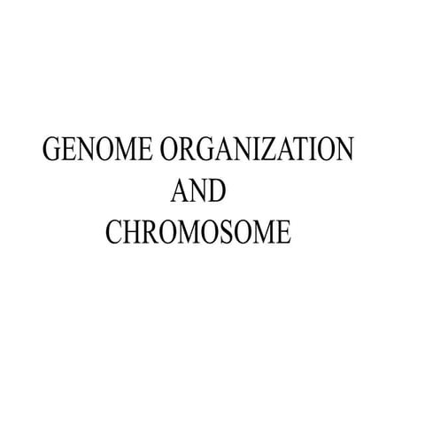 Chromosome structure
