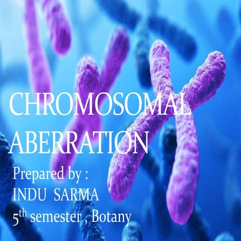 Structural chromosomal aberration