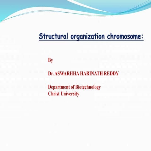 Structural organization of Chromosome   