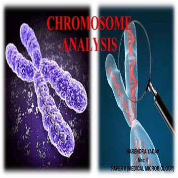 Chromosome analysis