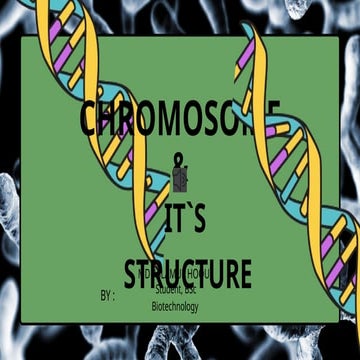 Chromosome And It S Structure And Types Pptx