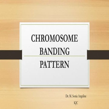 CHROMOSOME BANDING PATTERN_Dr. Sonia.pdf