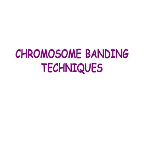 Chromosome banding techniques/methods.ppt